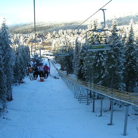 Apartment Sofi Yeti Kopaonik Exterior foto